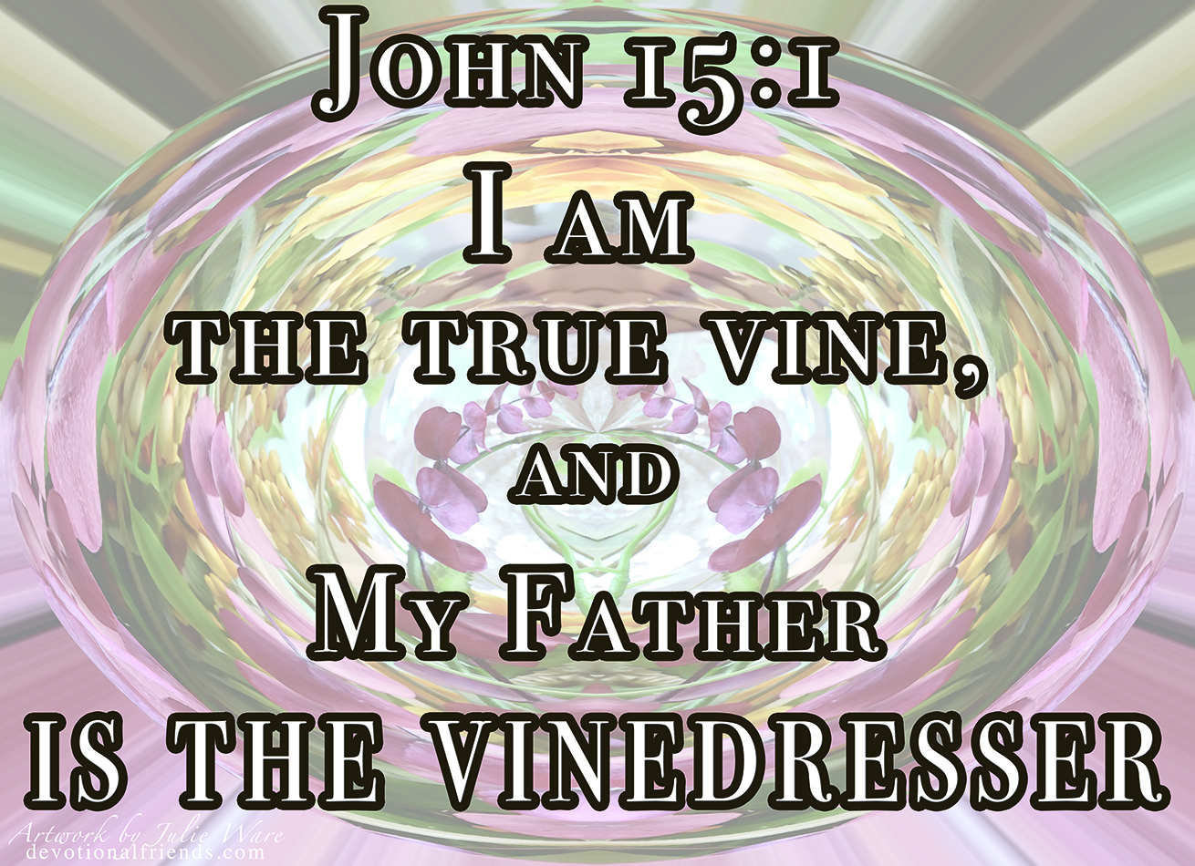 John 15-1 Vine Dresser