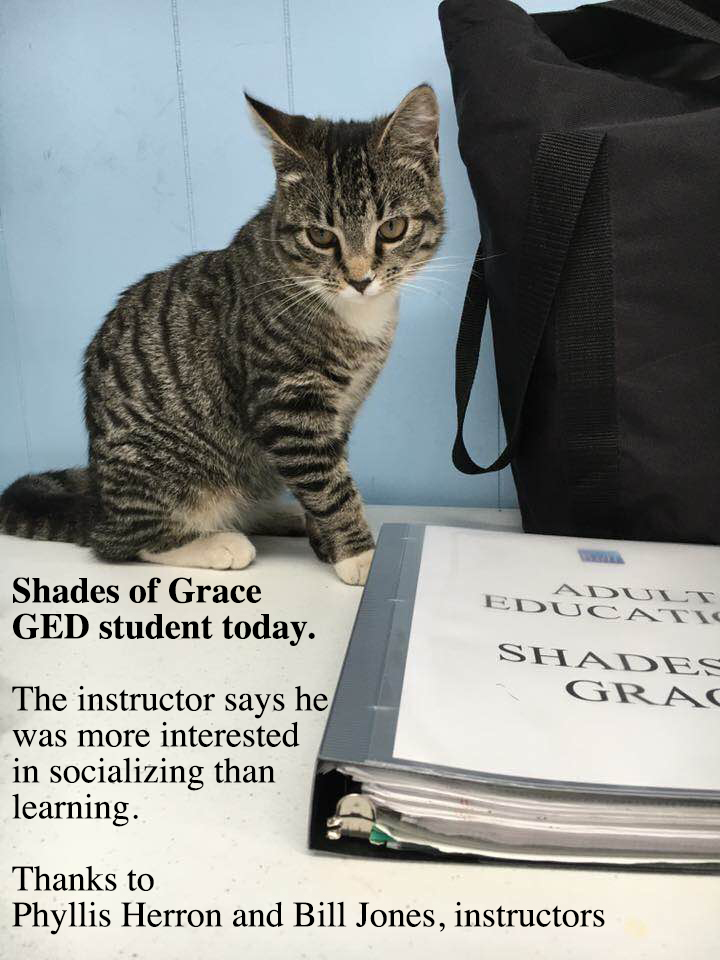 Kitten GED Learning Center