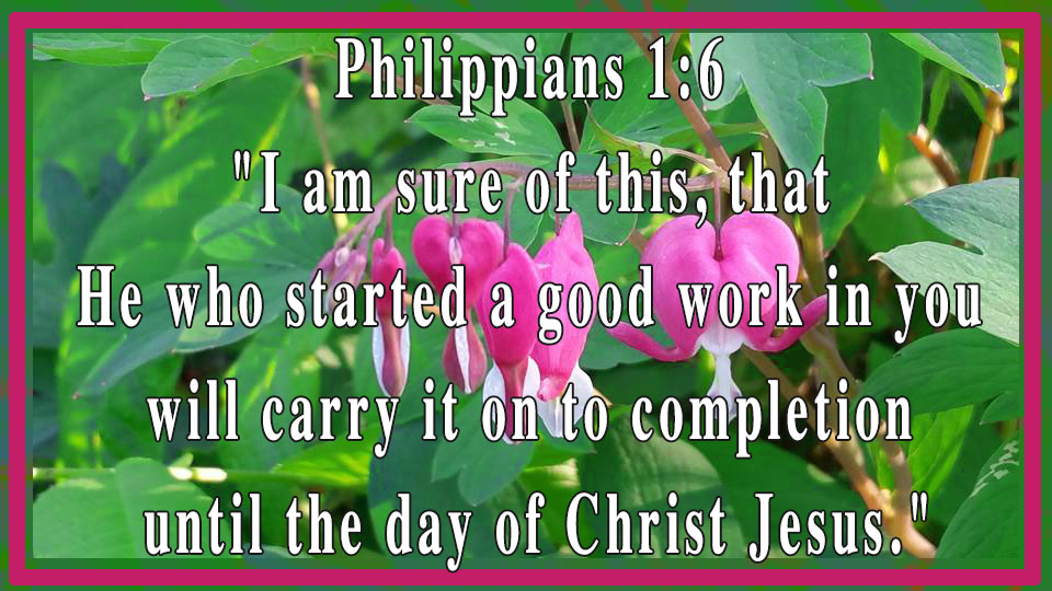 Philippians-1-6